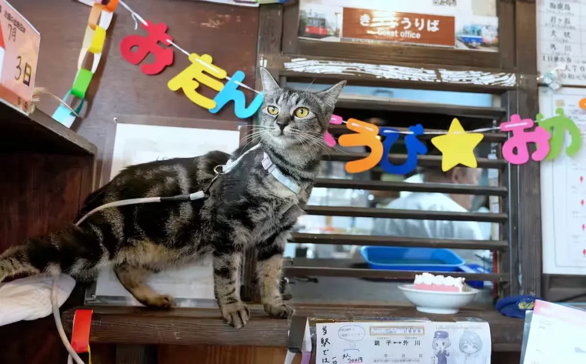 Nakano-san standing on the ticket office counter under the birthday garland